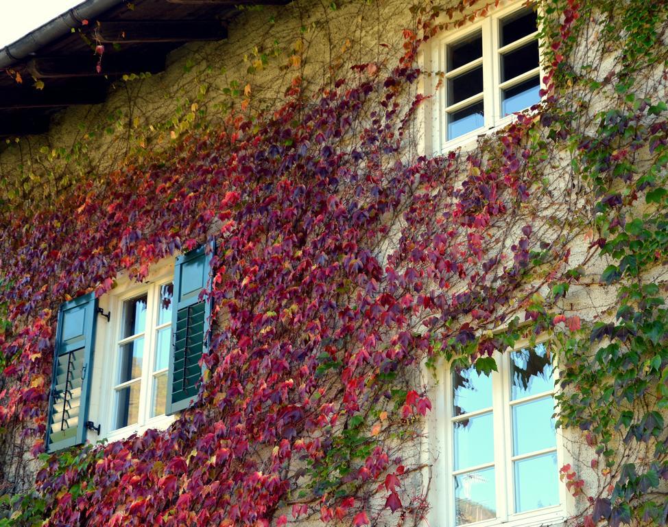 Apartment Im Garten 9 Gargazzone Eksteriør bilde